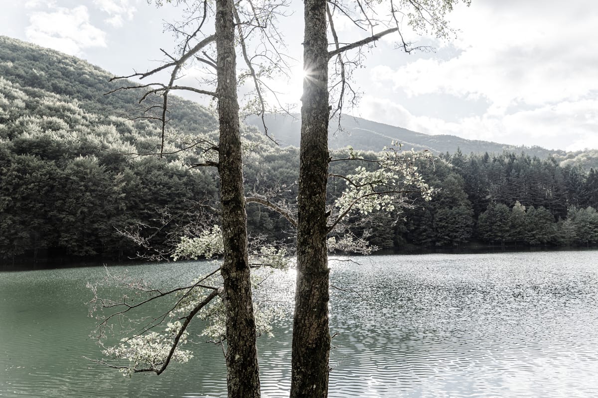 Before you read my story, you need to know two things.