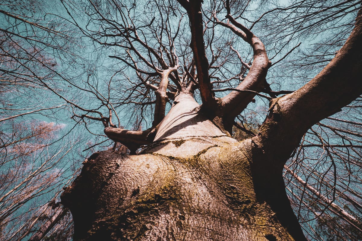 The Illusion of Control: Why Your "Titanism" is Killing You