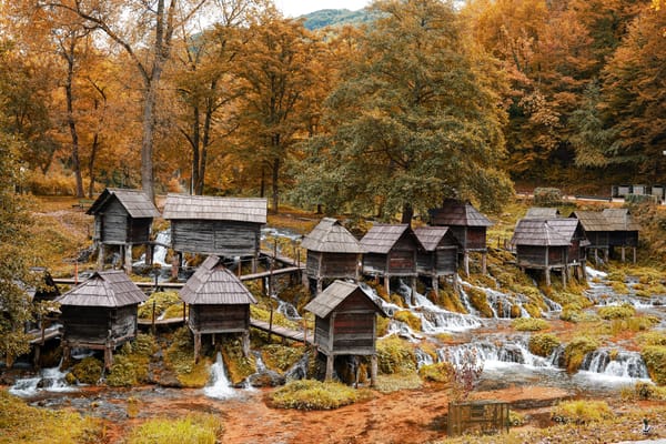 For Those Packing Their Bags for a Monastery