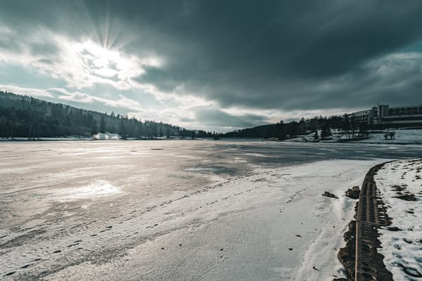 Alexander the Great in the Boardroom: Why Your Ambition is Your Biggest Liability